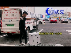 Mini Mobile Sentery CCTV Trailer