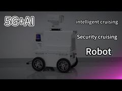 Patrol Security Robot
